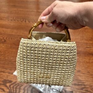 Cult Gaia Solene Mini Crossbody bag